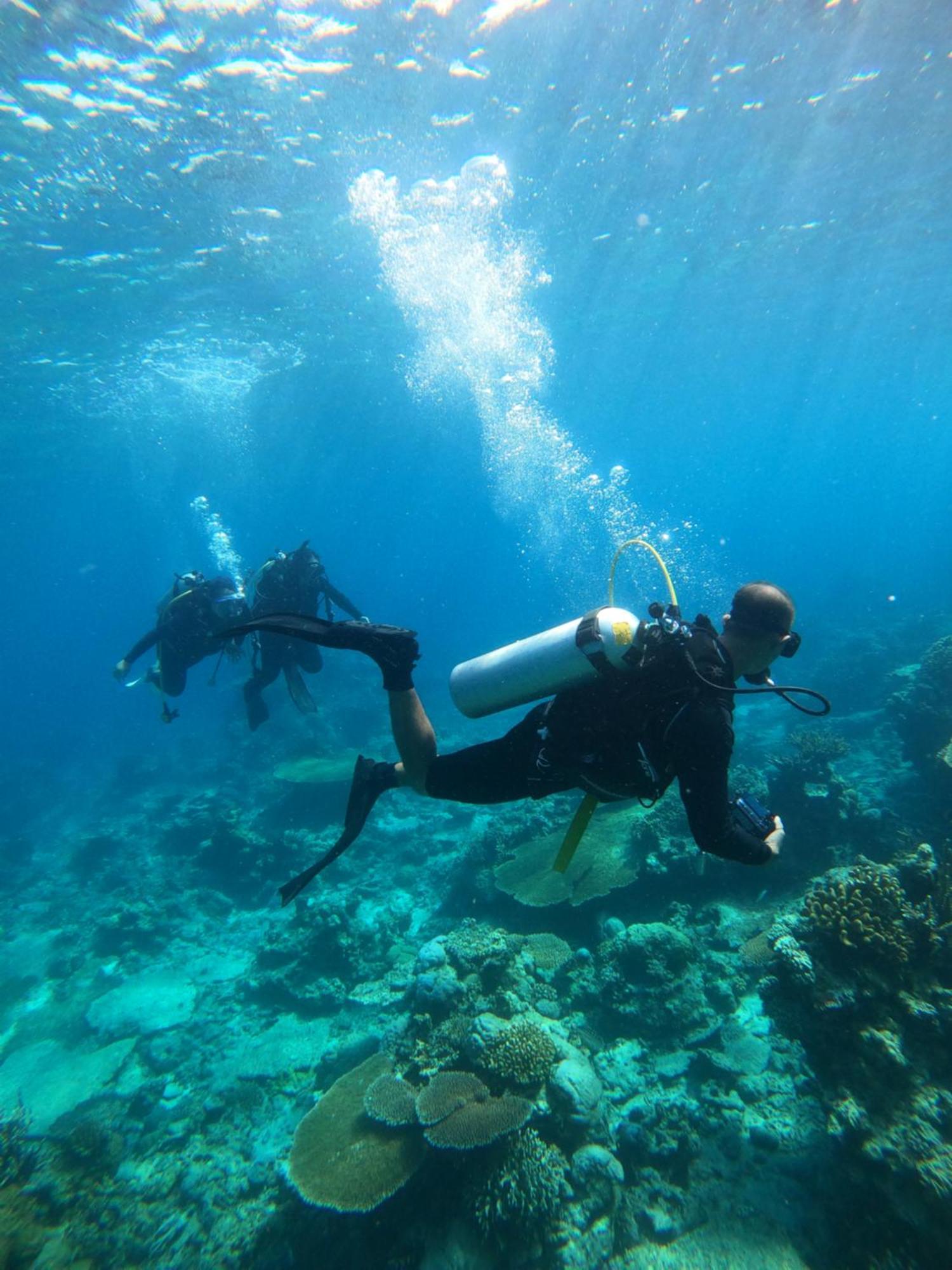 Natuna Dive Resort Ранай Екстериор снимка